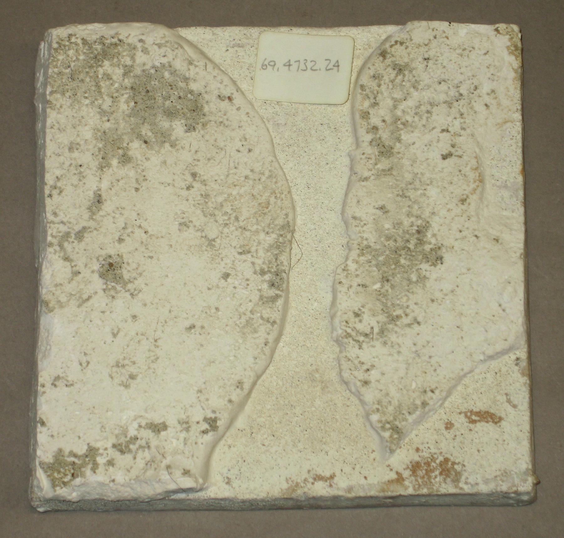 1969.4732.024 Delft tile (back)
