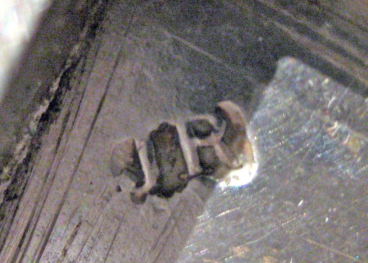 1970.0192.002 A, B Silver Sugar Bowl mark 1