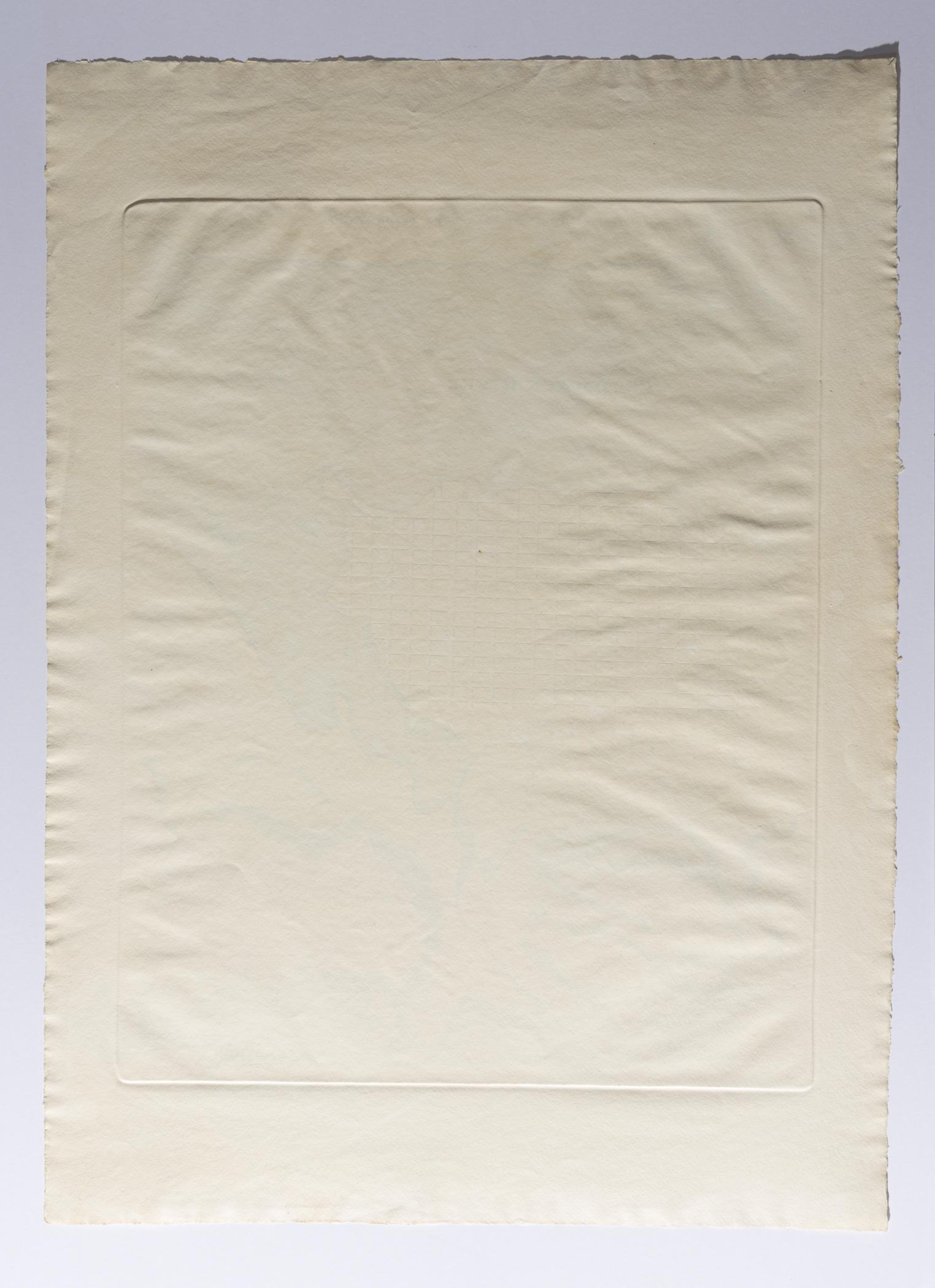 1970.0366 Map, view 4, reverse, raking light