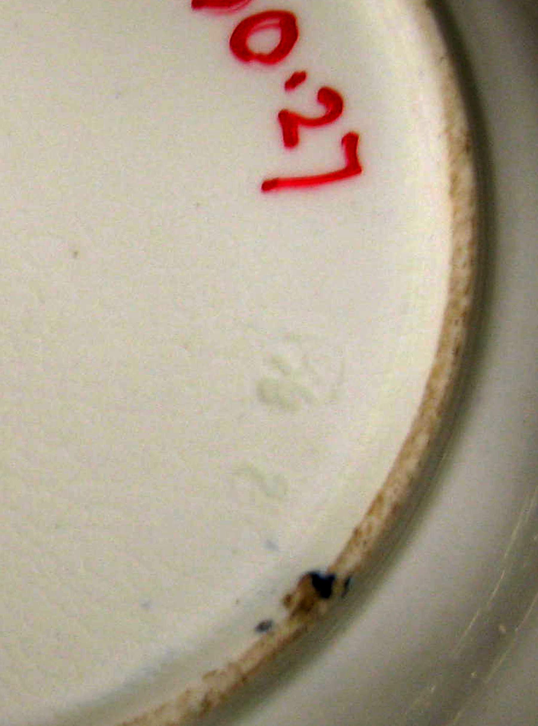 1970.0890.027 Dinner plate (mark)
