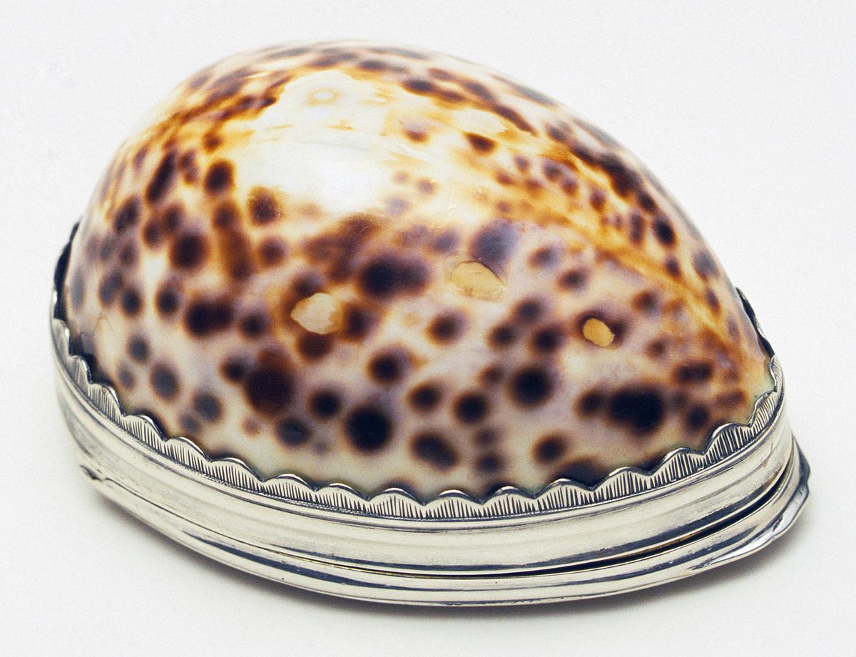 1970.1227 Silver and Shell Snuff Box