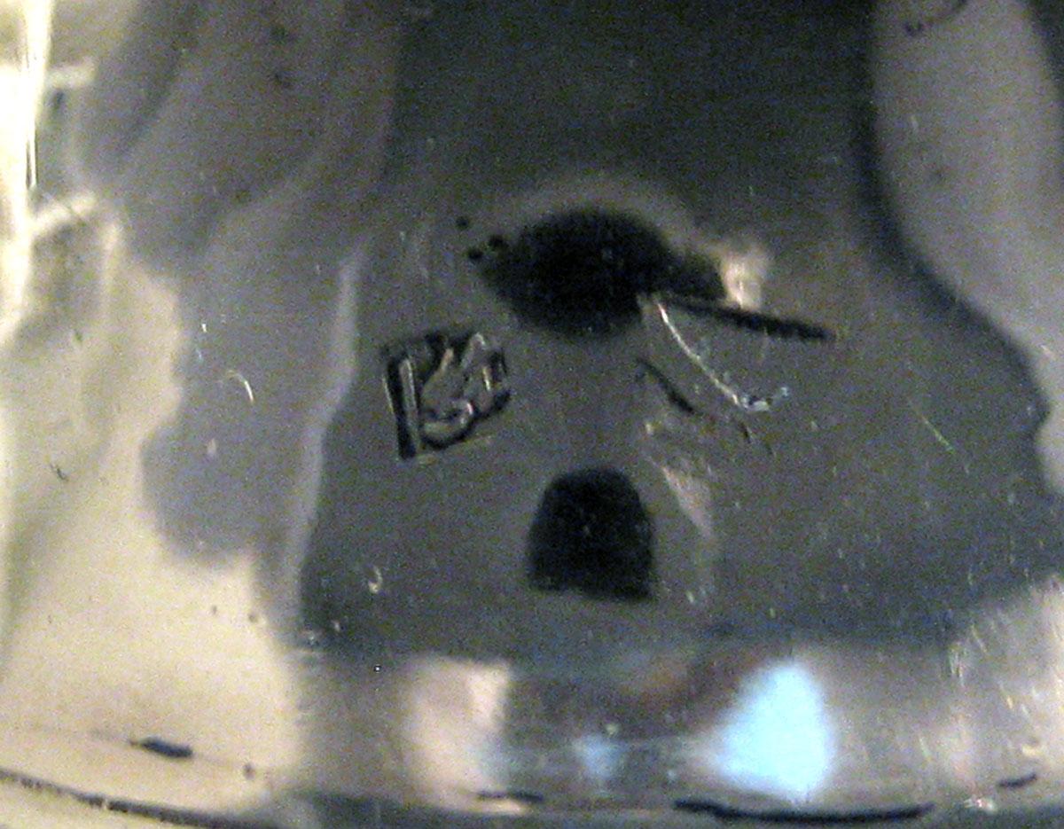 1970.1336 E Silver Standish Lid mark
