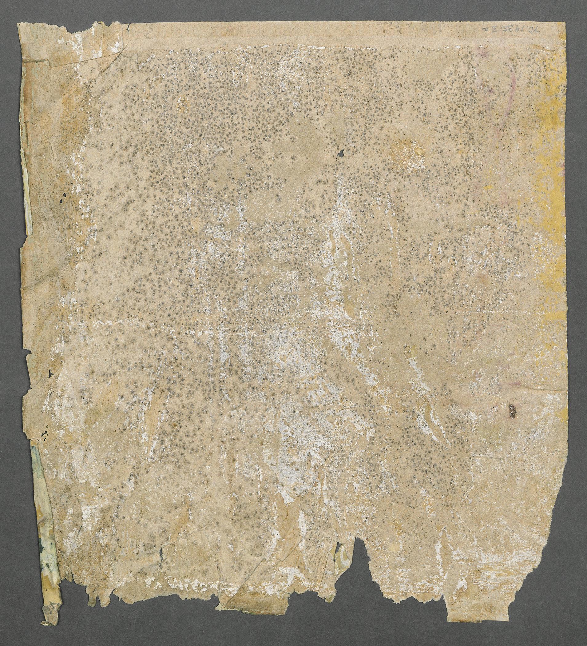 1970.1435.003 A Wall covering, view 2, reverse