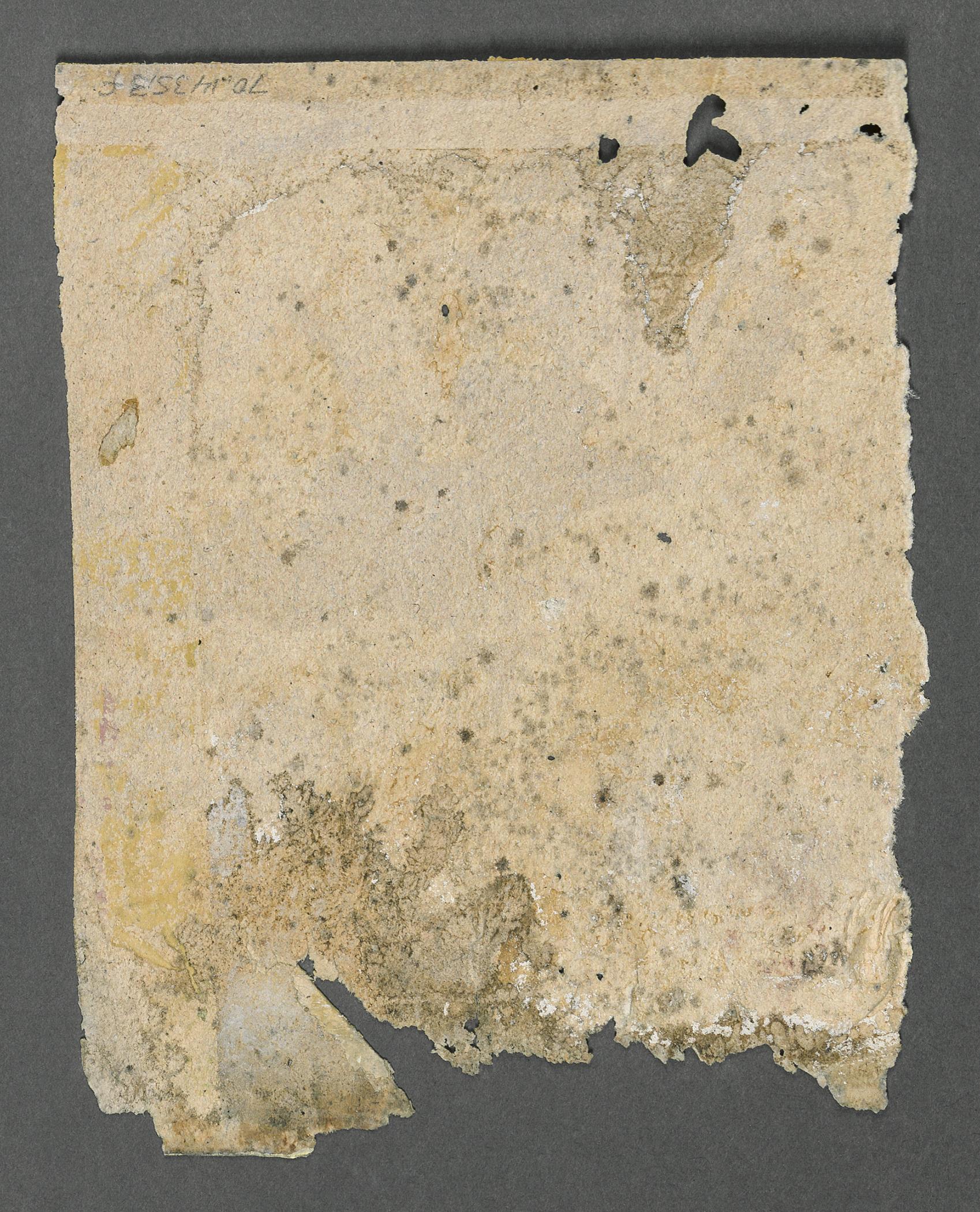 1970.1435.003 F Wall covering, view 2, reverse