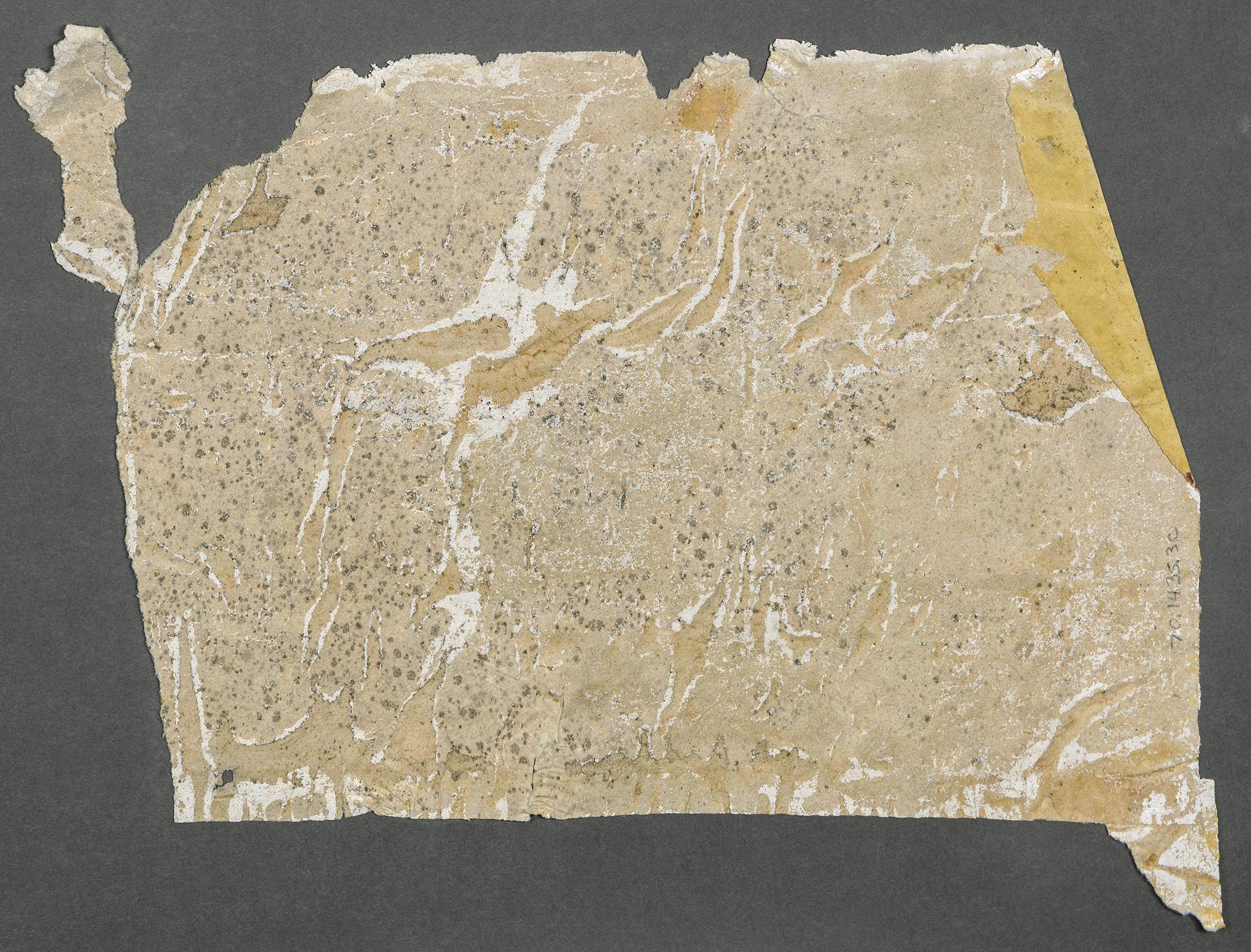1970.1435.003 C Wall covering, view 2, reverse