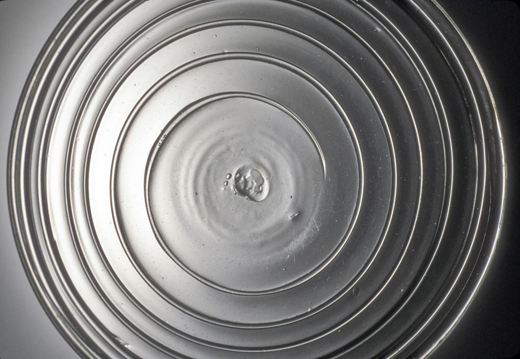 1971.0279 Dish, detail