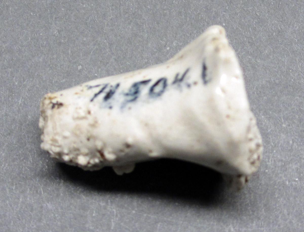 1971.0504.001.side