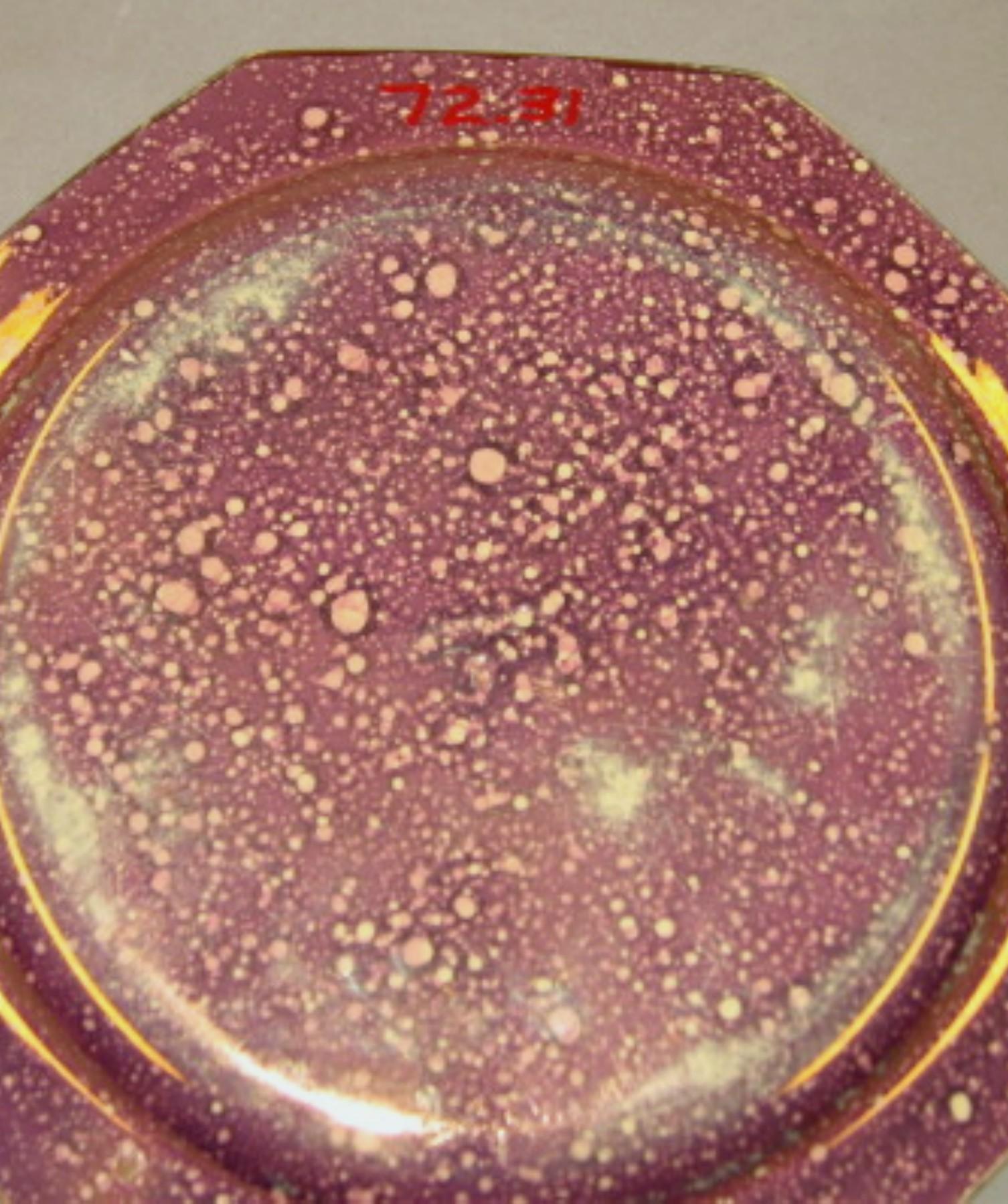 1972.0031 Sarreguemines lusterware plate (underside)