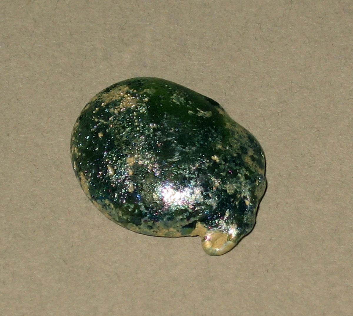 1972.0473.078 Glass fragment