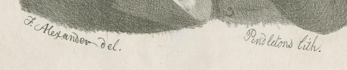 1973.0197 Print, detail