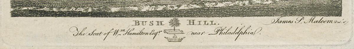 1973.0198 Print, detail 1