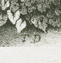 1973.0201 Print, detail 3