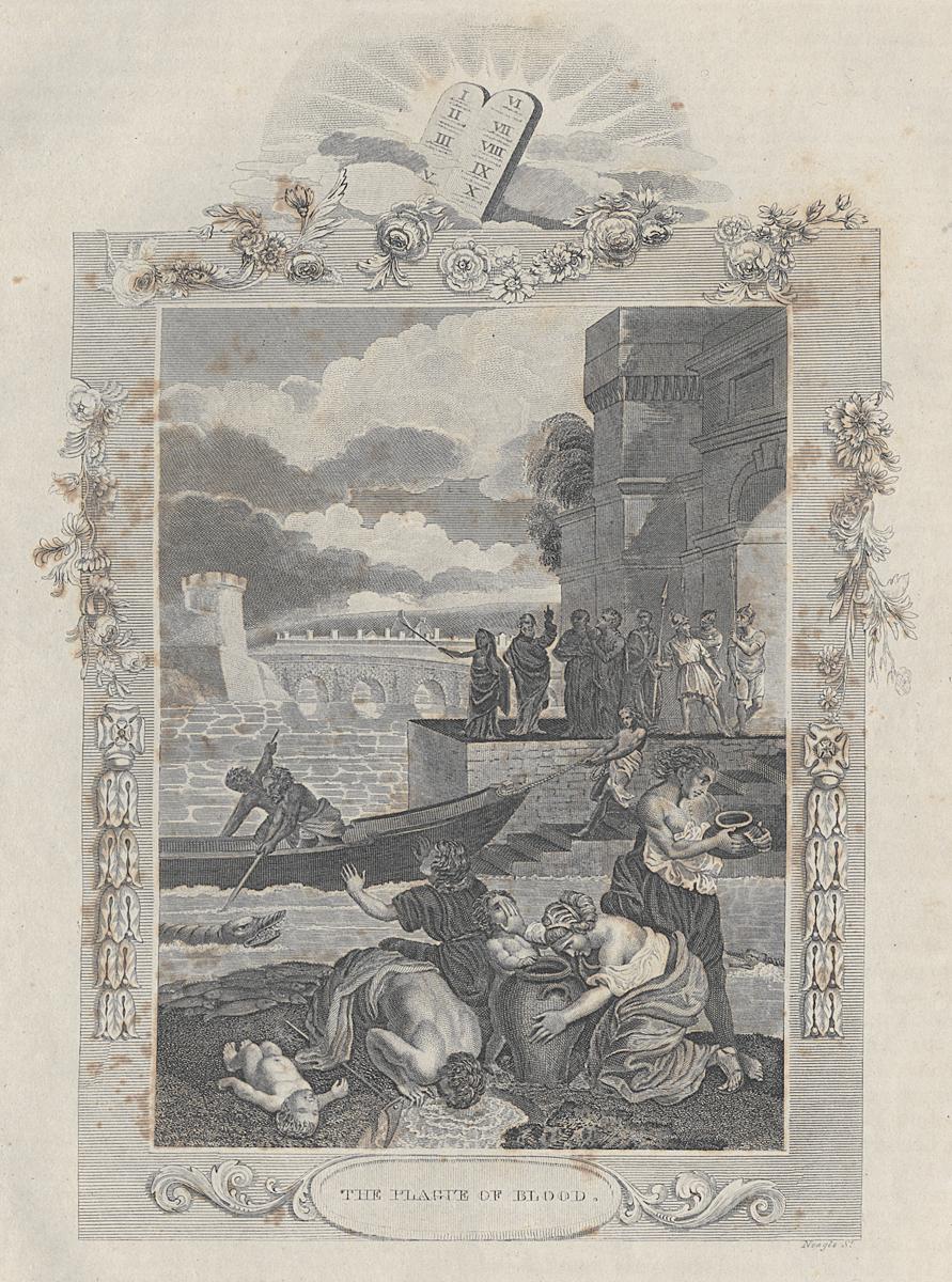 1973.0309.009 Print, View 2