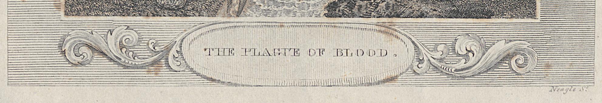 1973.0309.009 Print, Detail 5