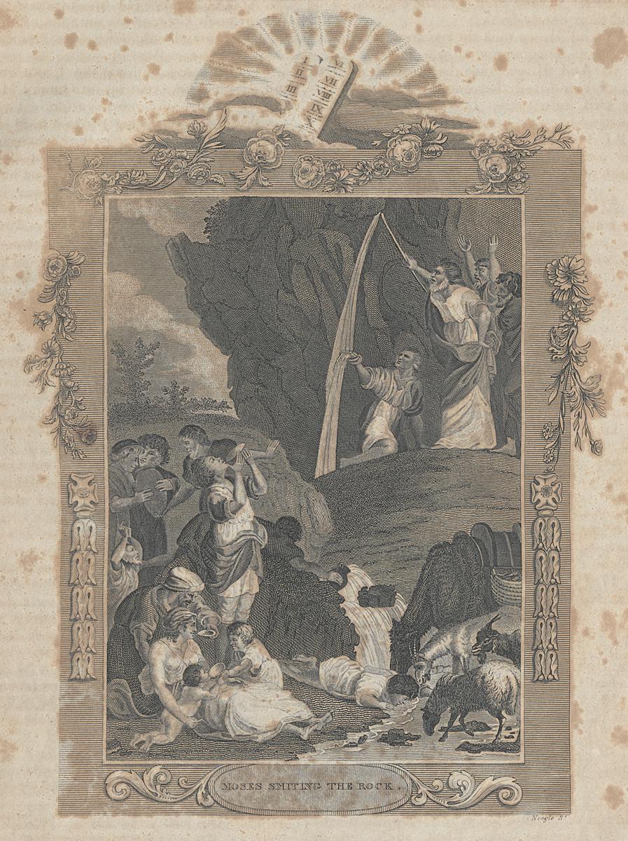 1973.0309.010 Print, View 2