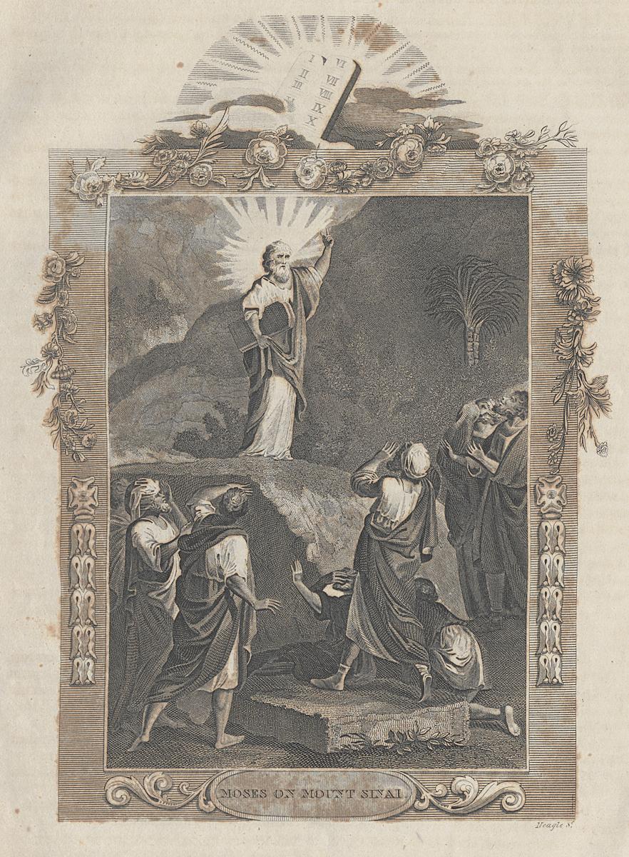 1973.0309.011 Print, View 2