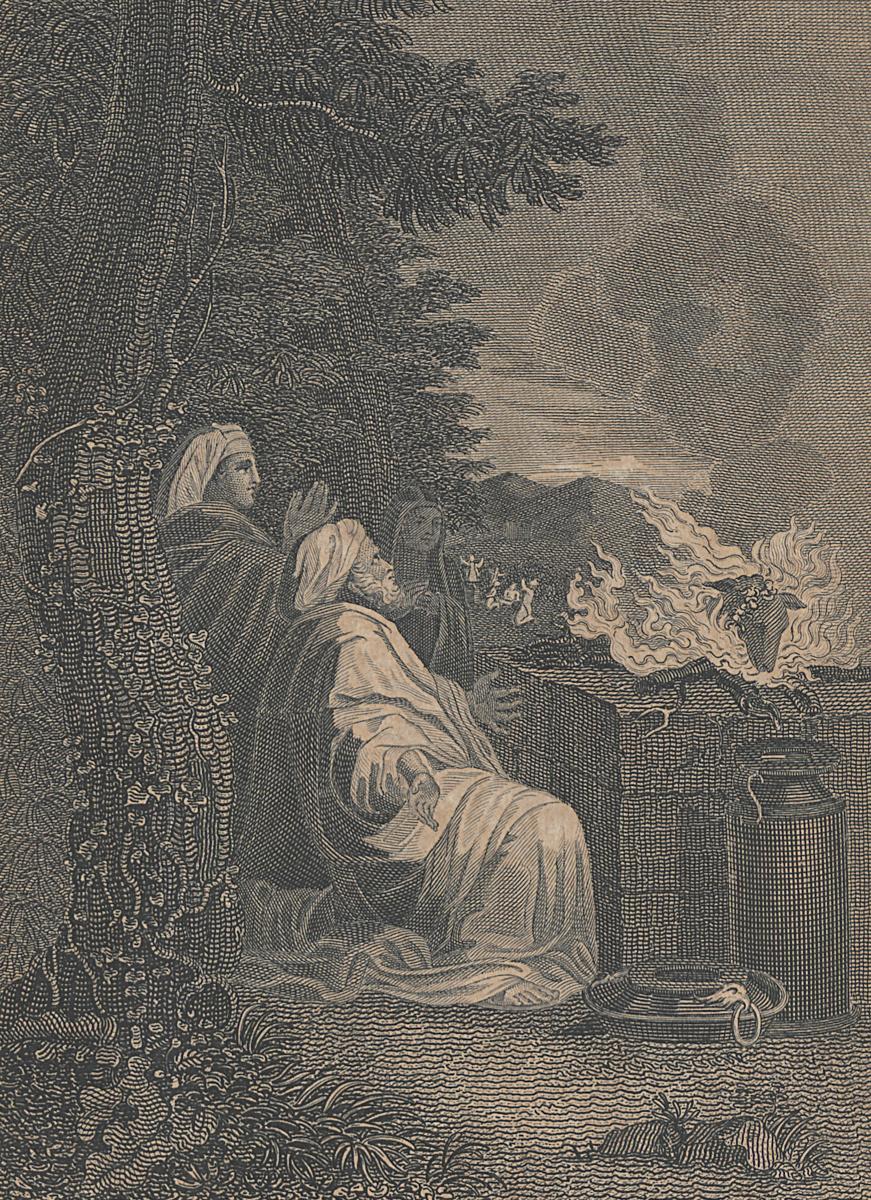 1973.0309.017 Print, Detail