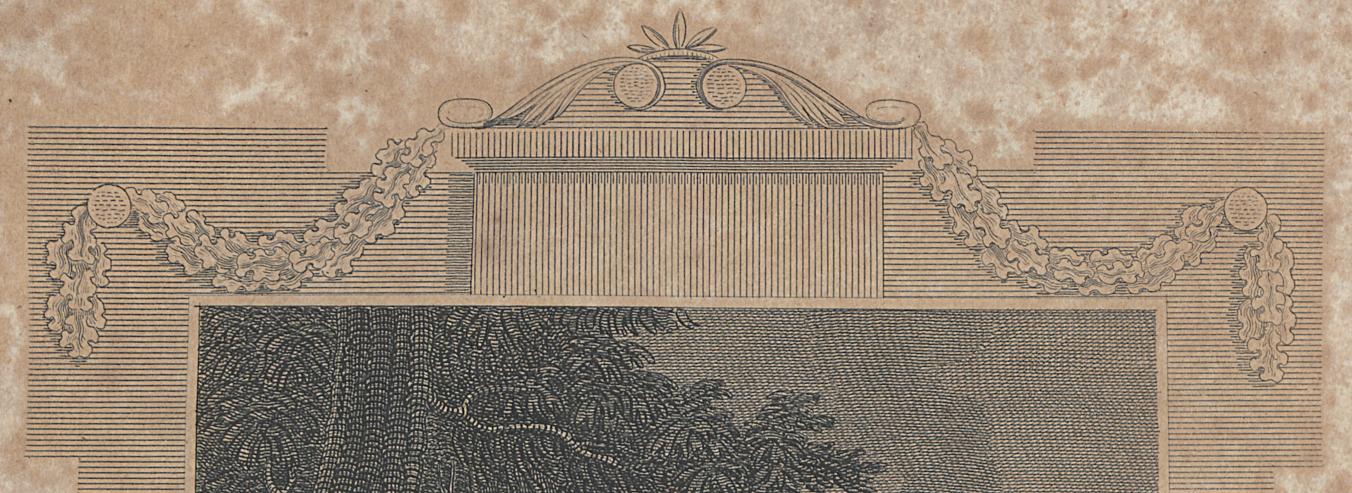 1973.0309.017 Print, Detail 3