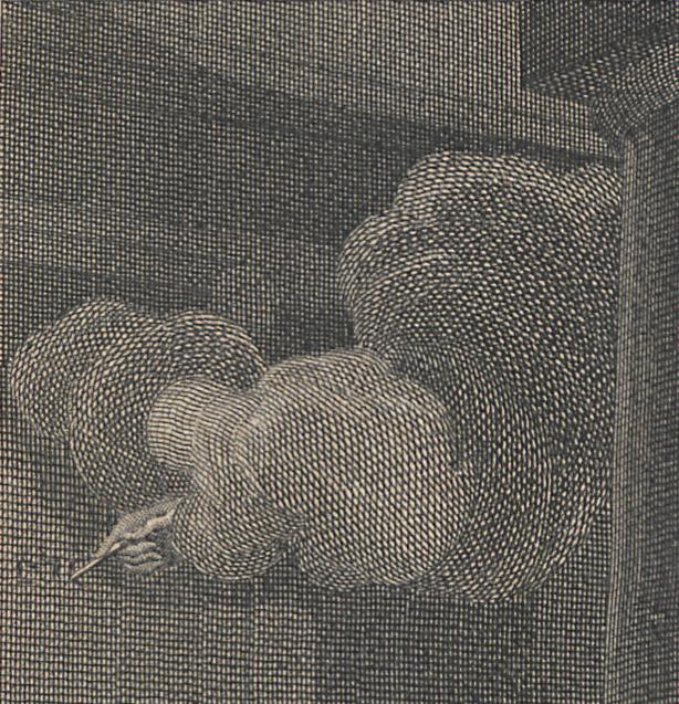 1973.0309.020 Print, Detail 3