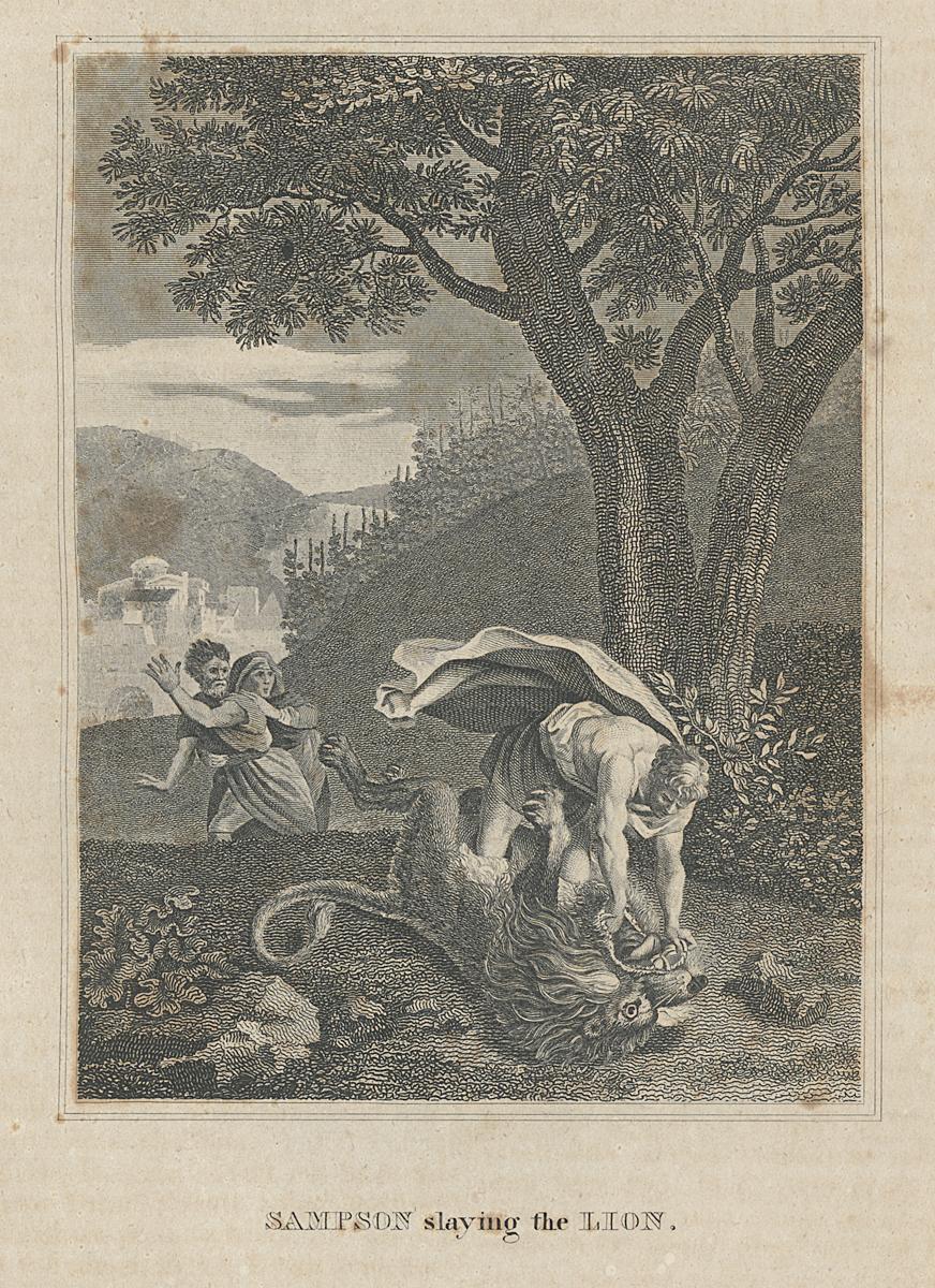 1973.0309.024 Print, View 2