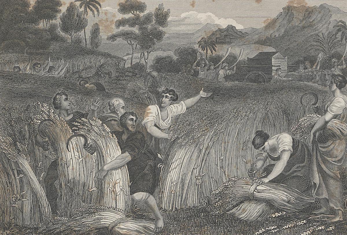 1973.0309.025 Print, Detail