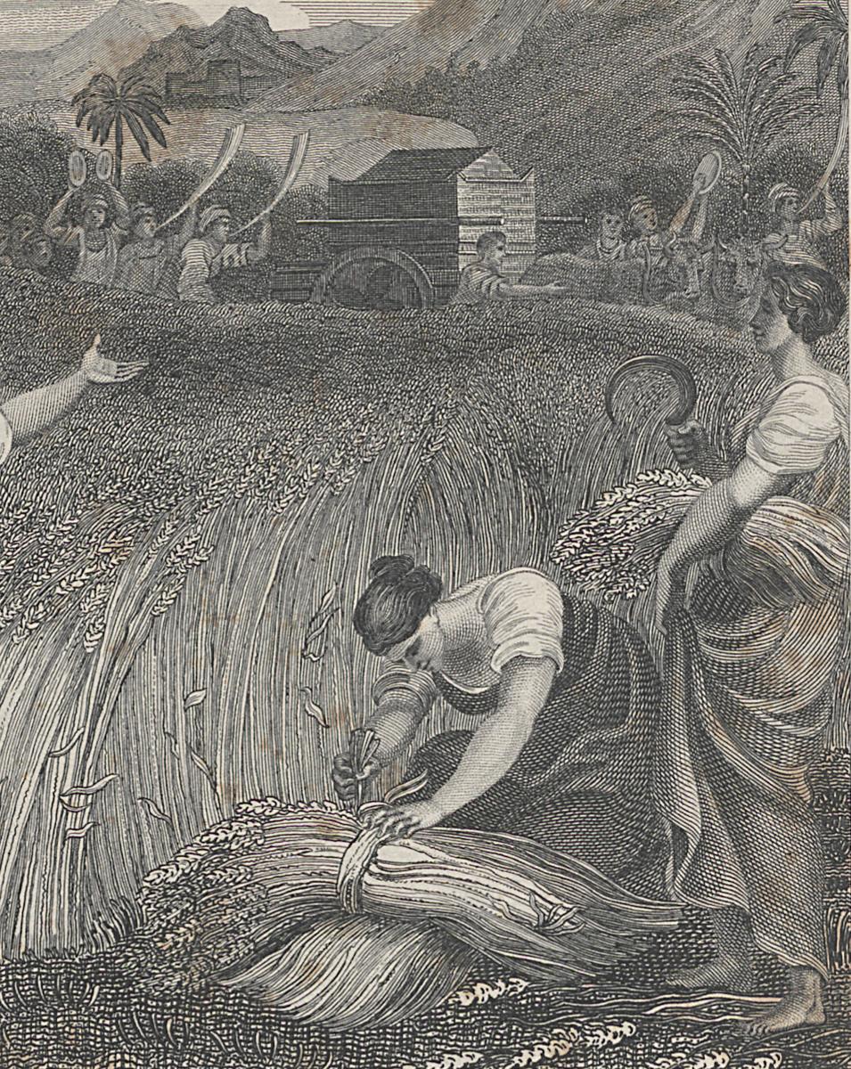 1973.0309.025 Print, Detail 3