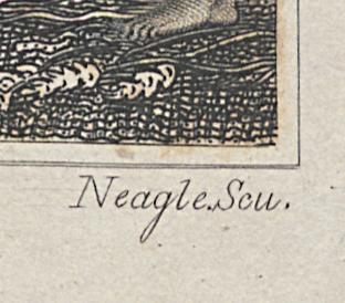 1973.0309.025 Print, Detail 6