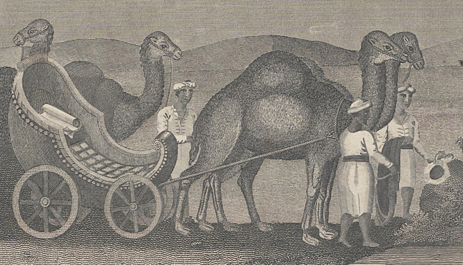 1973.0309.030 Print, Detail 2