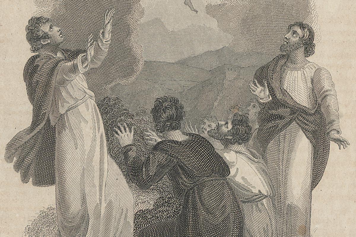1973.0309.033 Print, Detail