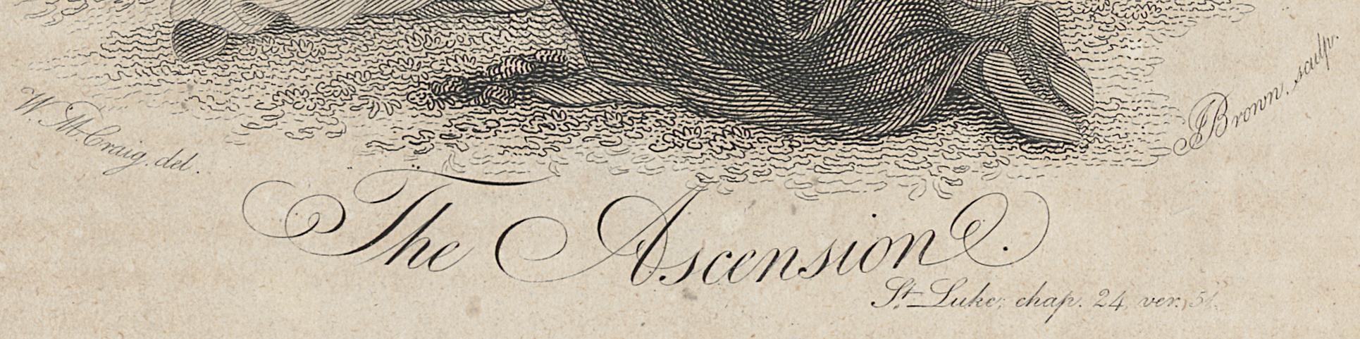 1973.0309.033 Print, Detail 3