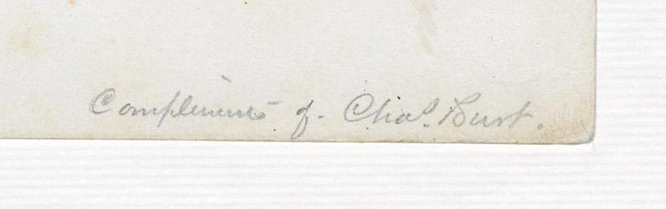 1973.0366 Print, detail
