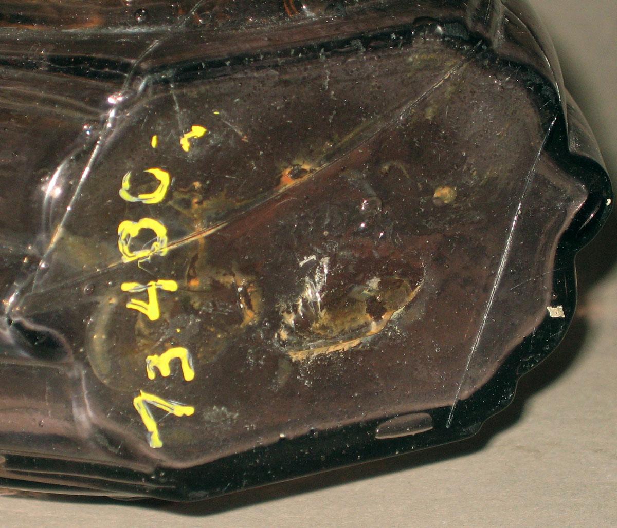 1973.0400.002 Glass flask (underside)