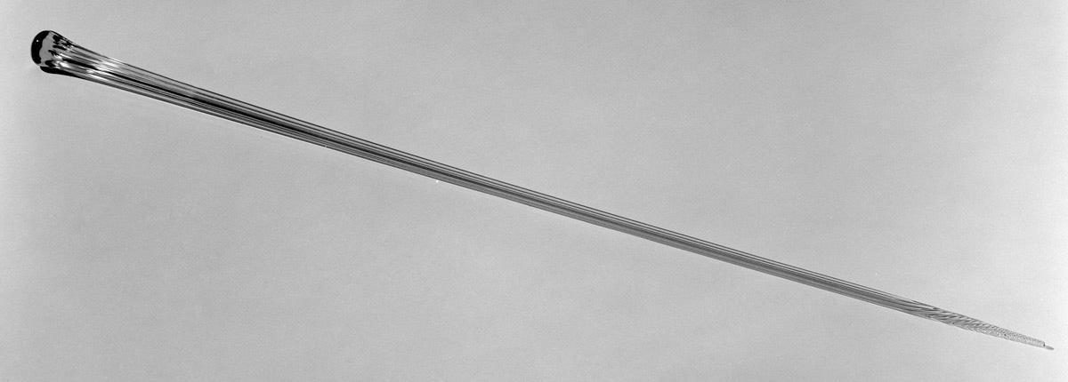 1973.0458 Cane, Whimsey