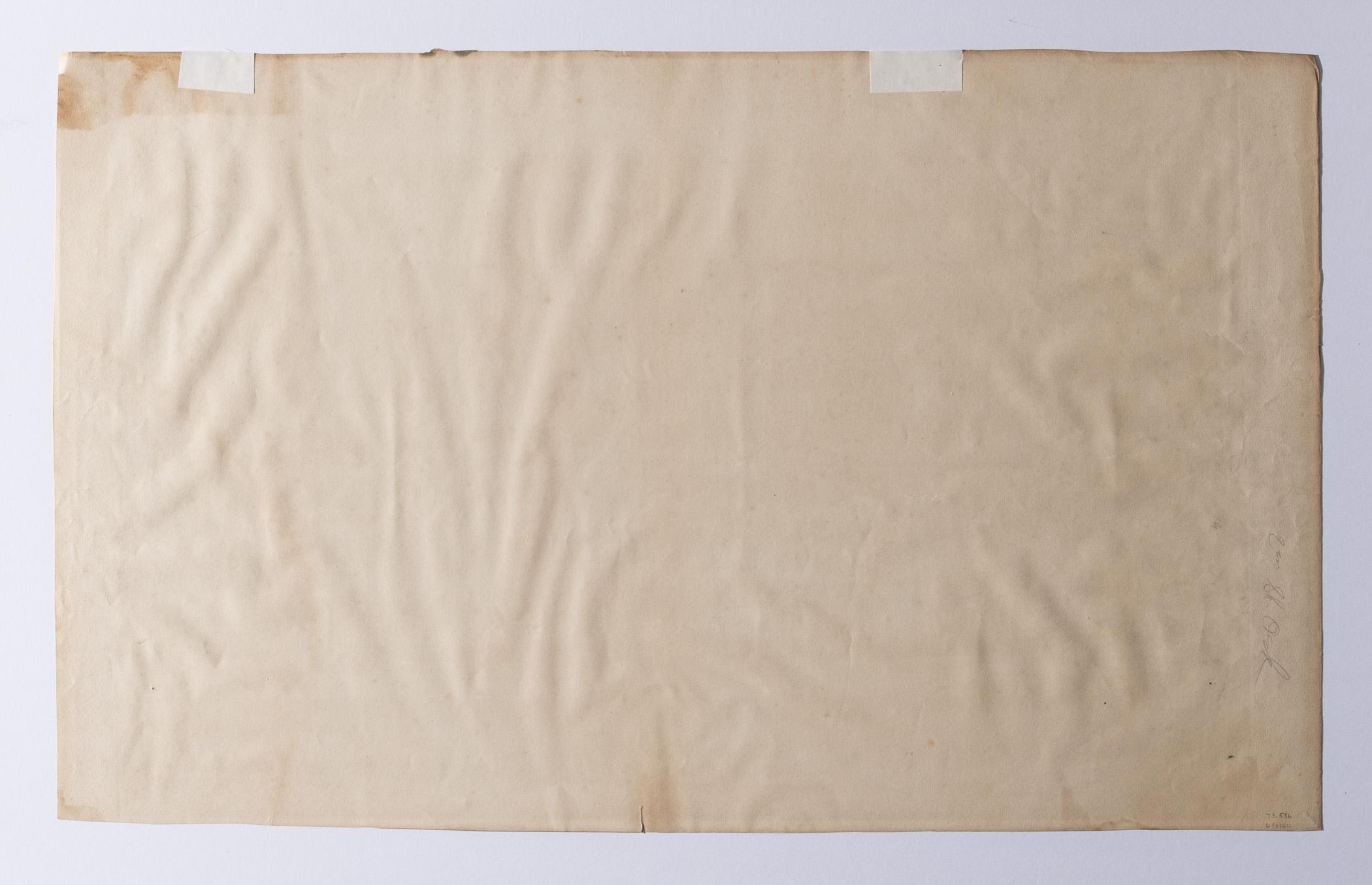 1973.0536 Print, view 4, reverse, raking light