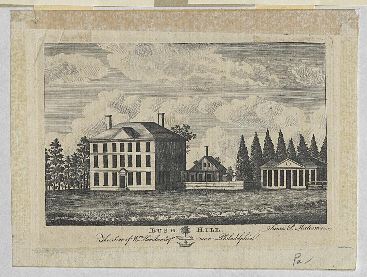 1973.0541 Print