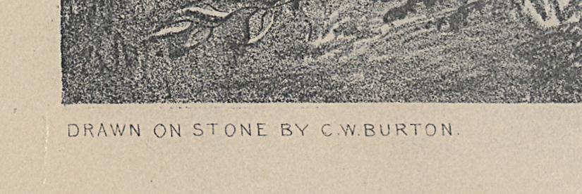 1973.0548 Print, Detail 6
