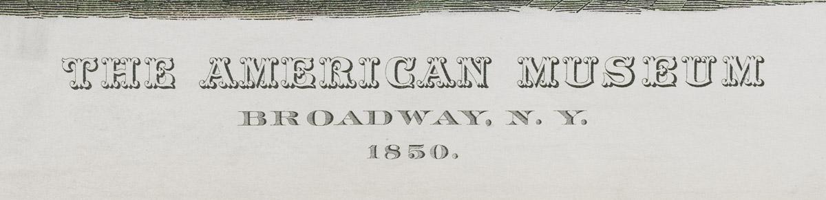 1973.0572 Print, detail 1