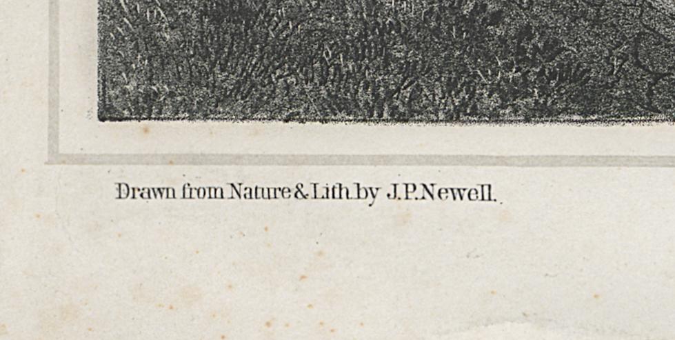1973.0573 Print, Detail 6