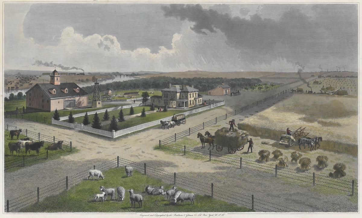 1973.0577 Print, Detail