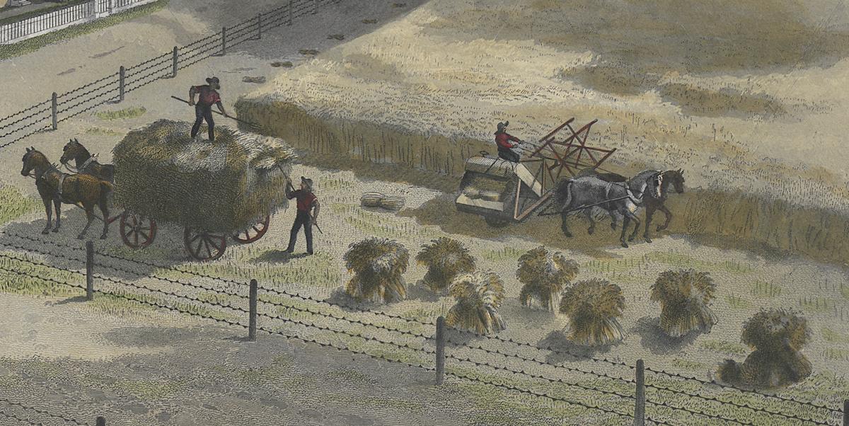 1973.0577 Print, Detail 6
