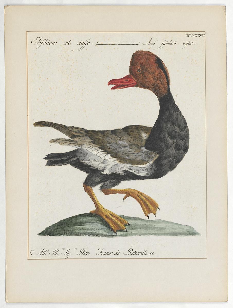 1973.0578.001 Print