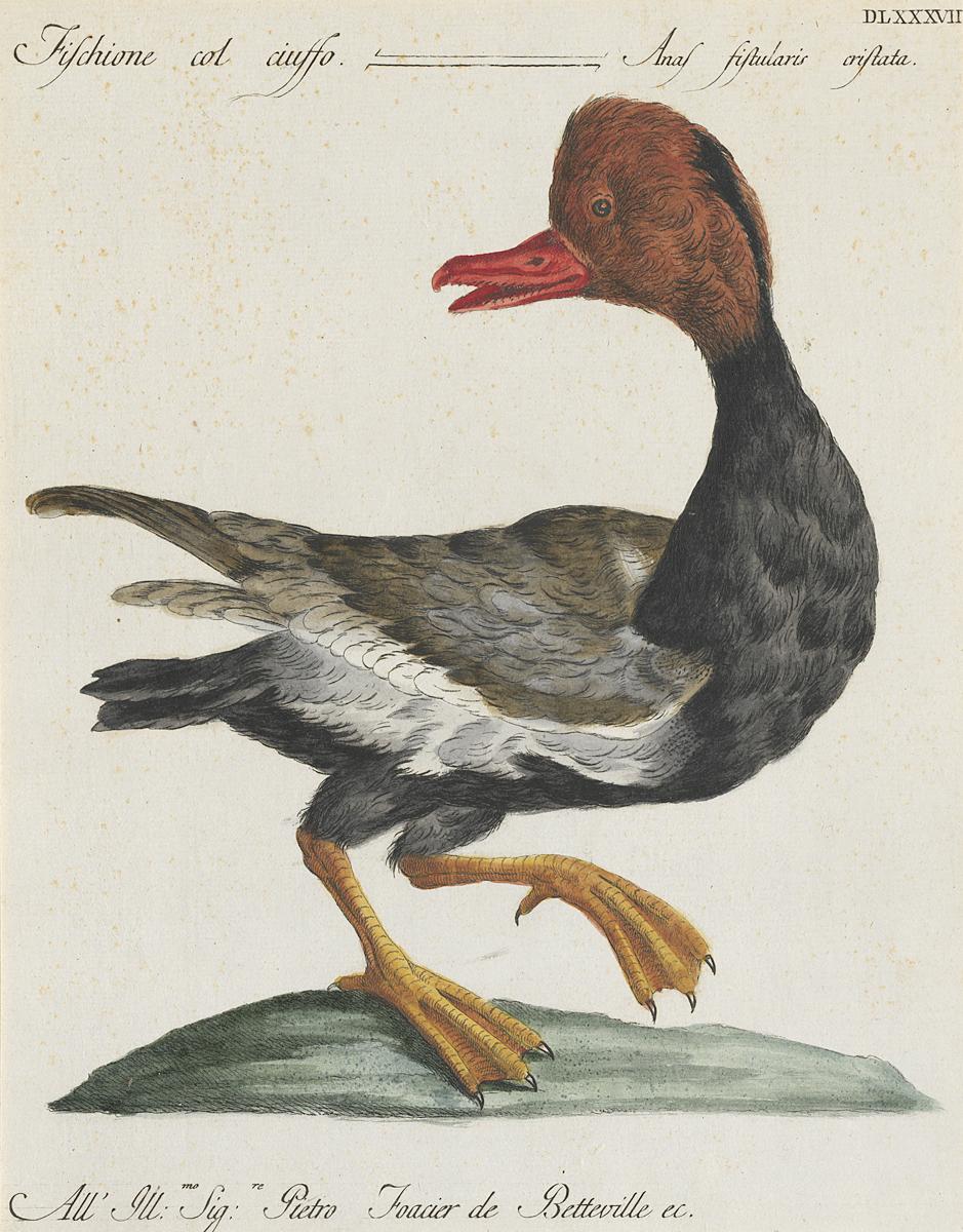 1973.0578.001 Print, View 2