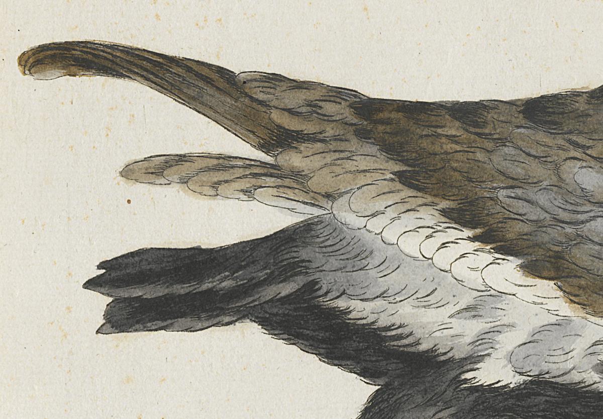 1973.0578.001 Print, Detail 2