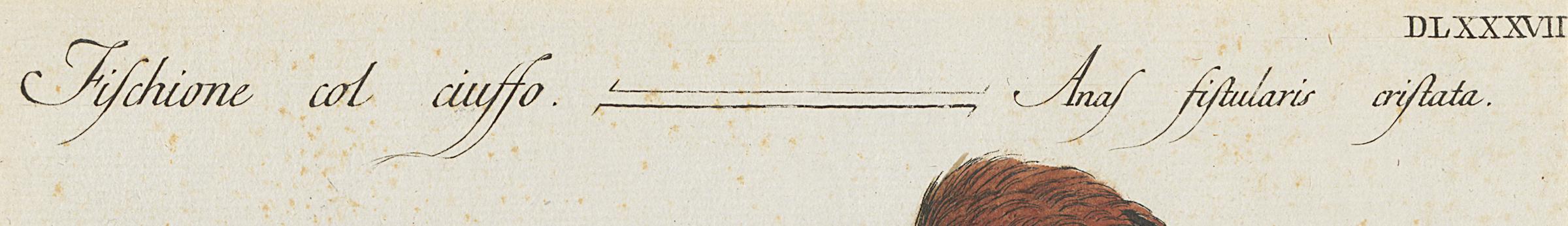 1973.0578.001 Print, Detail 3