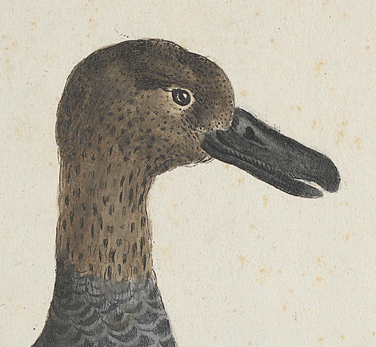 1973.0578.002 Print, Detail