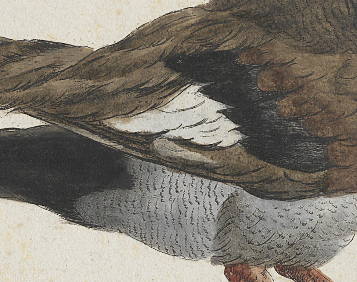 1973.0578.002 Print, Detail 2