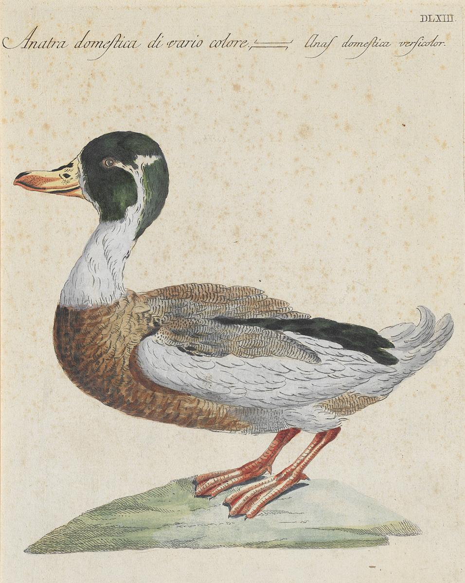 1973.0578.003 Print, View 2