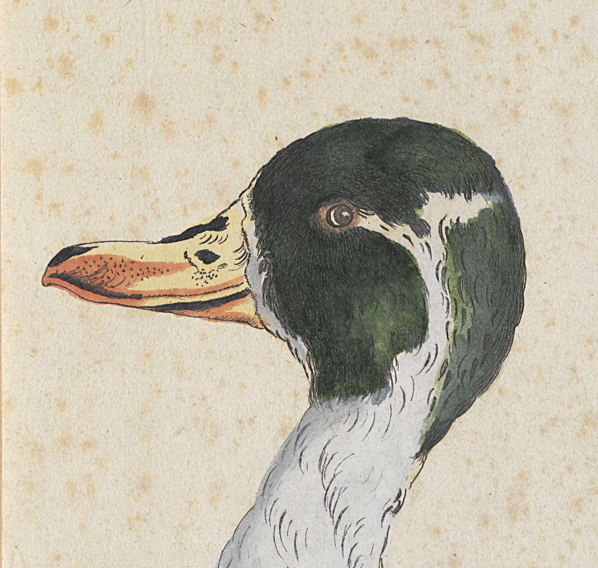 1973.0578.003 Print, Detail
