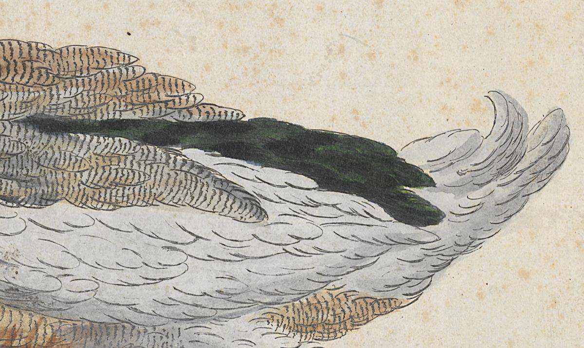1973.0578.003 Print, Detail 2