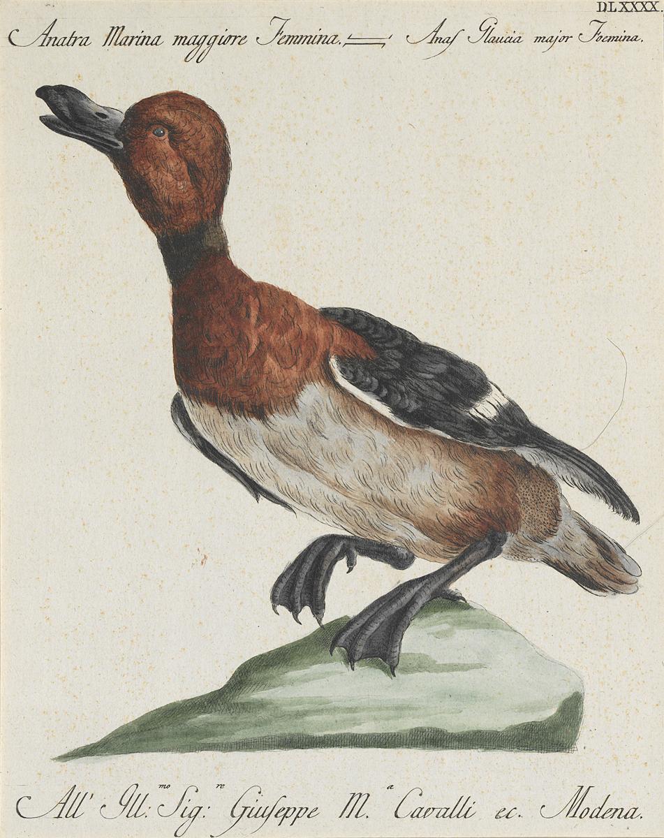 1973.0578.004 Print, View 2